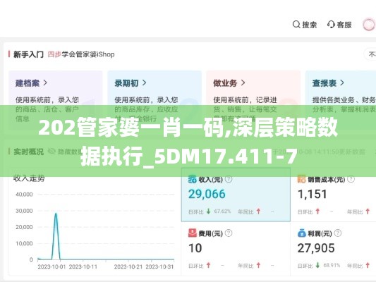 202管家婆一肖一码,深层策略数据执行_5DM17.411-7