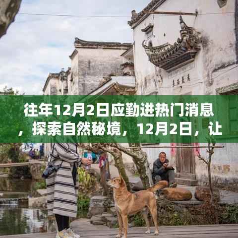 12月2日探索自然秘境,远离尘嚣,寻找内心的桃花源之旅