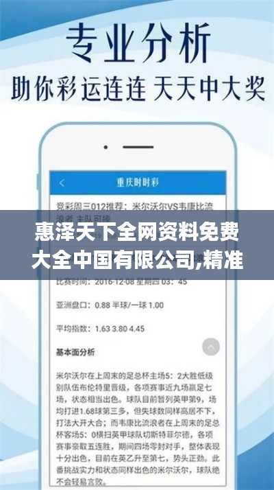 惠泽天下全网资料免费大全中国有限公司,精准实施解析_RemixOS6.325