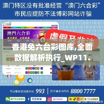 香港免六台彩图库,全面数据解析执行_WP11.489