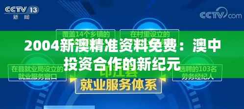 2004新澳精准资料免费:澳中投资合作的新纪元