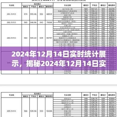 揭秘,2024年12月14日实时统计展示背后的秘密全解析