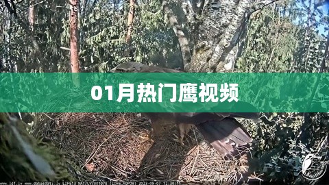 长命富贵 第3页