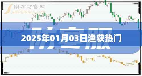 2025年1月3日渔获市场大热