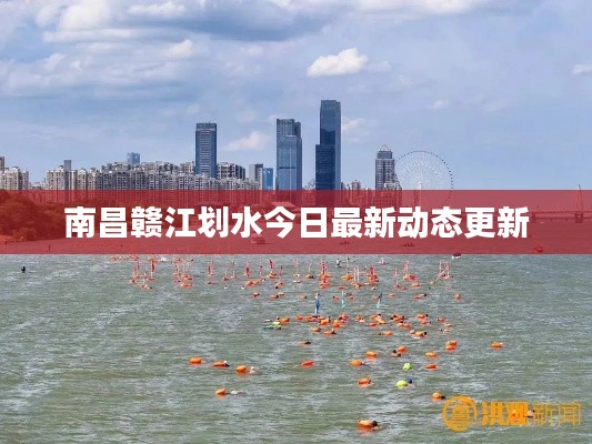 南昌赣江划水今日最新动态更新