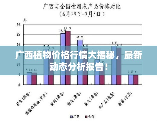 广西植物价格行情大揭秘,最新动态分析报告!
