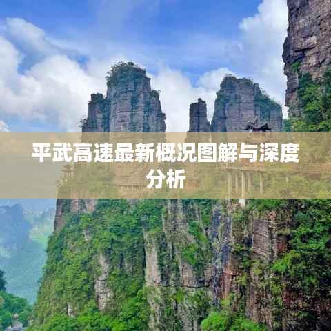平武高速最新概况图解与深度分析