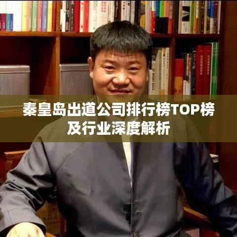 秦皇岛出道公司排行榜TOP榜及行业深度解析