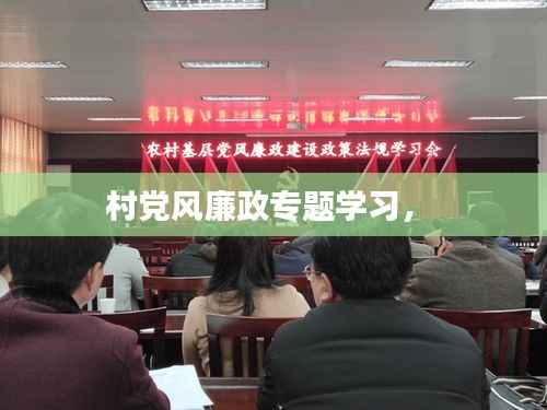 村党风廉政专题学习,