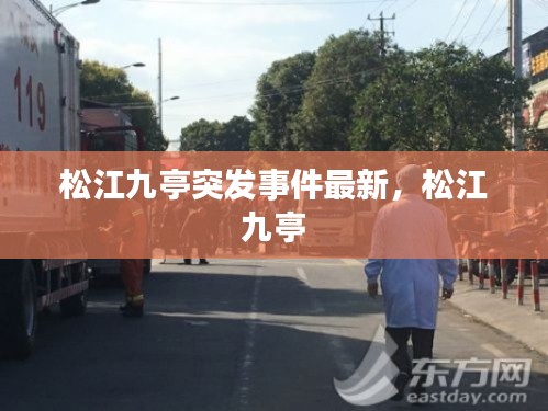 松江九亭突发事件最新,松江 九亭