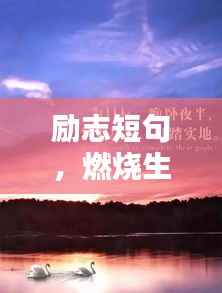 环肥燕瘦 第2页